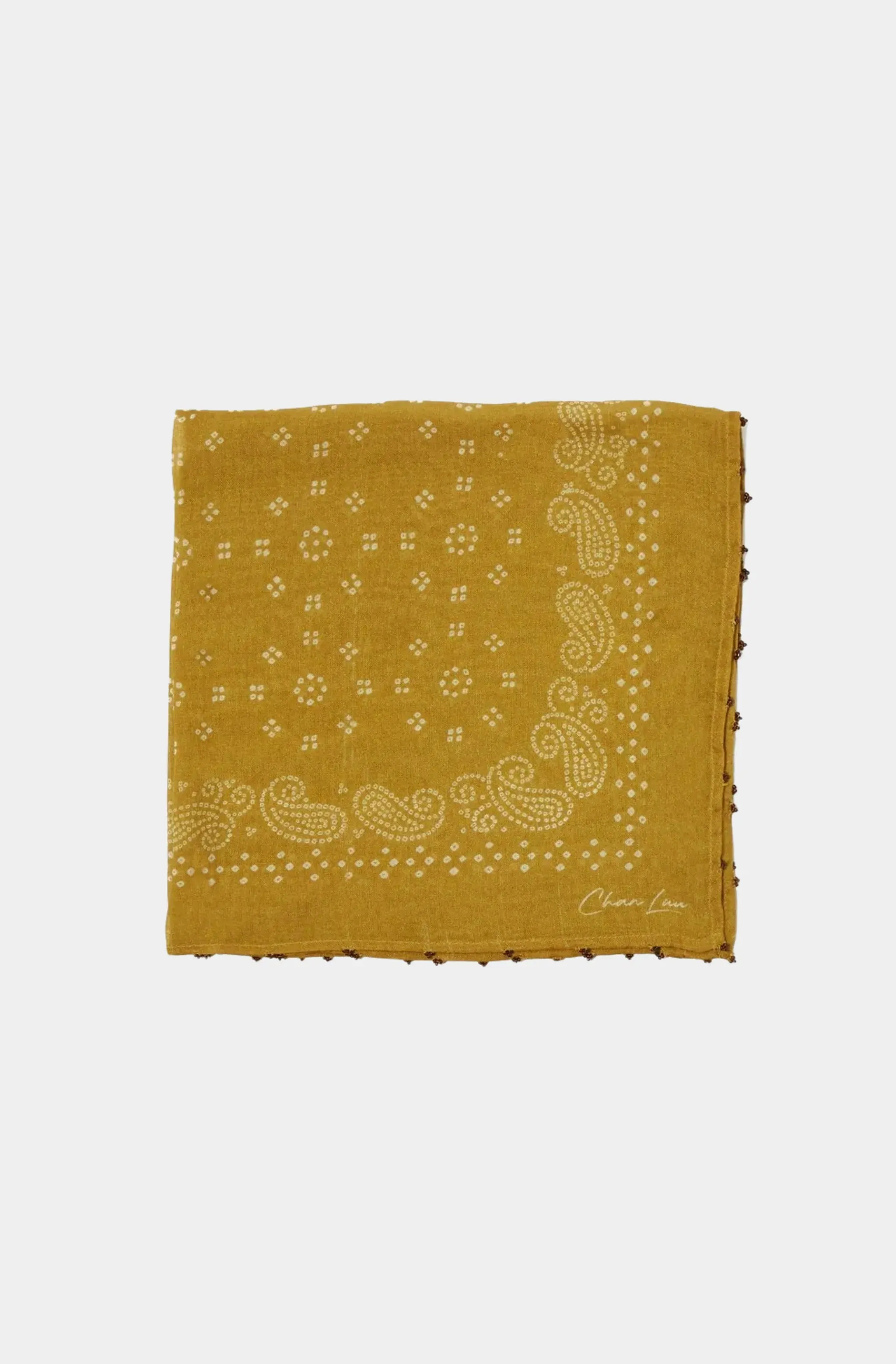 Dotted Paisley Bandana