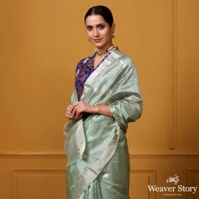 Handwoven Light Green Silver Zari Motif Silk Saree