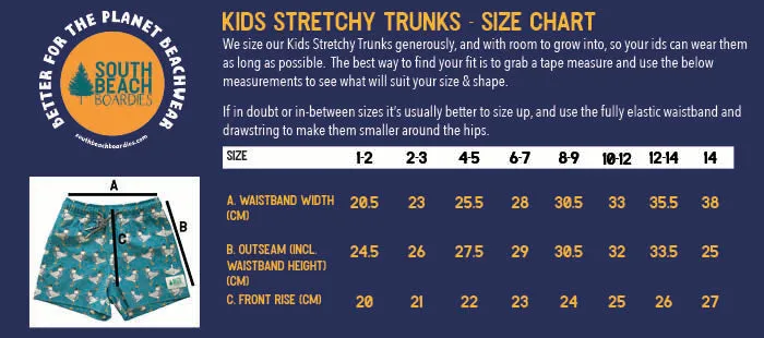 Kids Stretchy Trunks: Turquoise Dingo