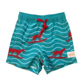 Kids Stretchy Trunks: Turquoise Dingo